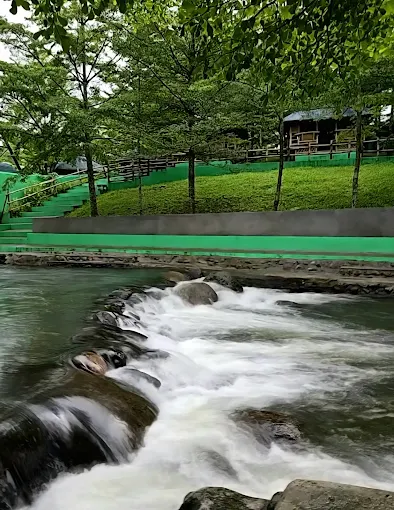 Natural stream and water features