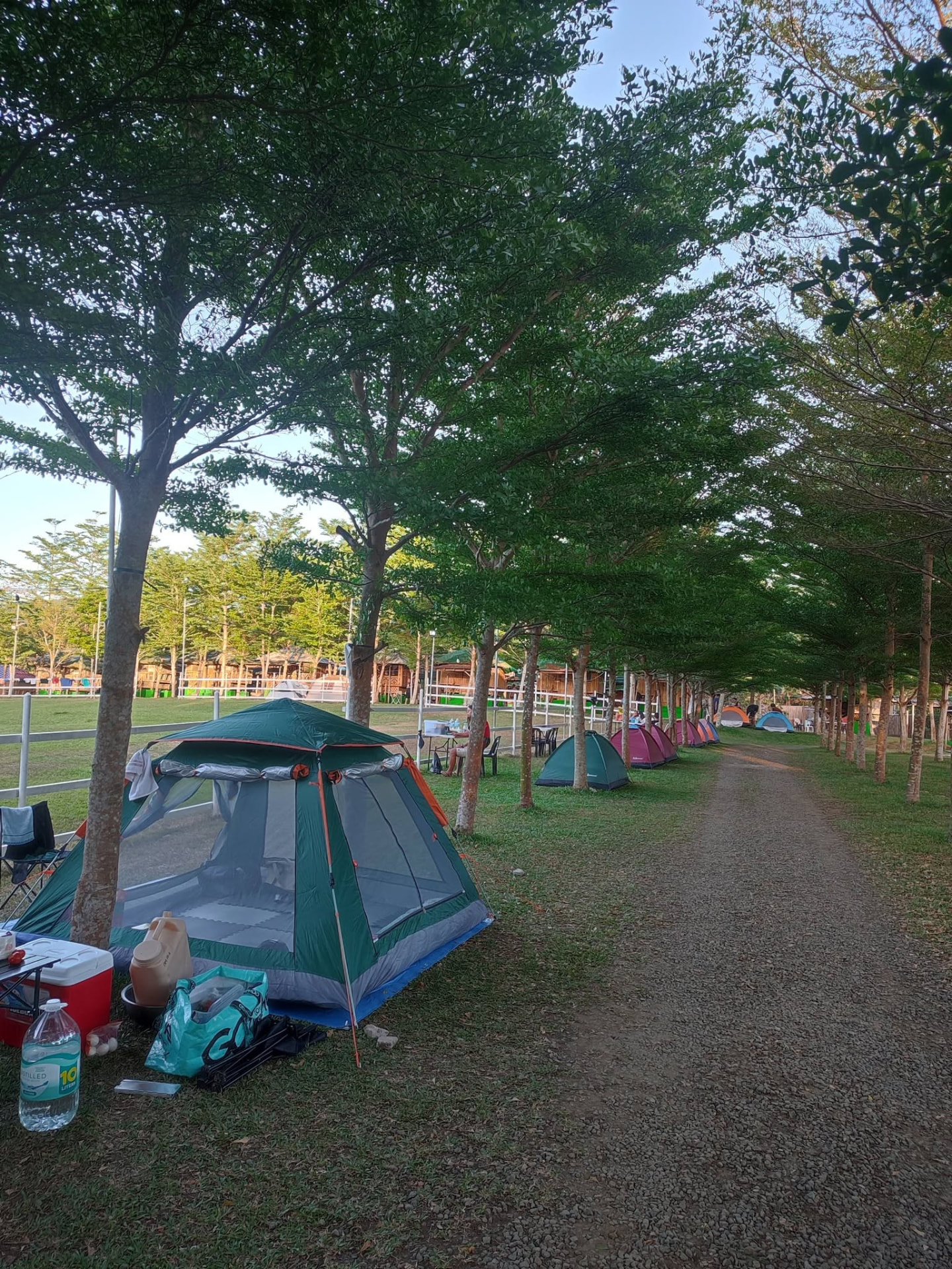 Tents pitched along a shaded gravel path