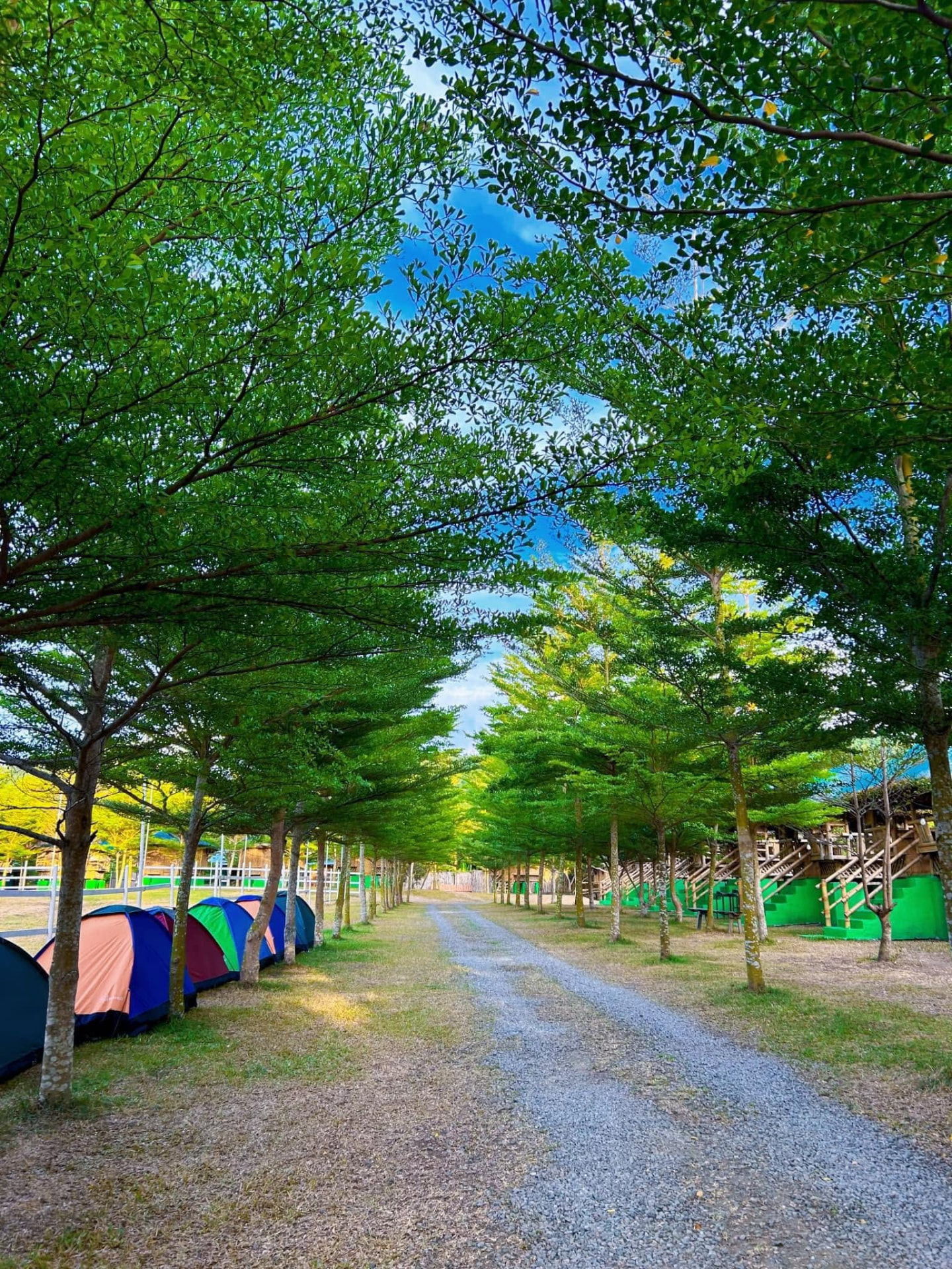 Tree-lined camp rows with tents and elevated wooden huts
